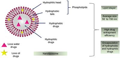 Insight Into Nanoliposomes as Smart Nanocarriers for Greening the Twenty-First Century Biomedical Settings